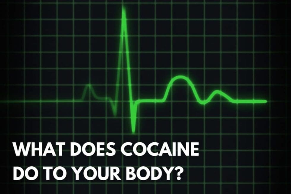 What Does Cocaine Do To Your Body - The Freedom Center