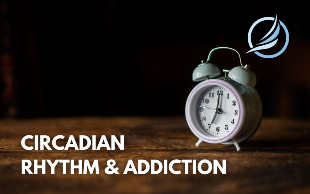 The Link Between Circadian Rhythm and Addiction