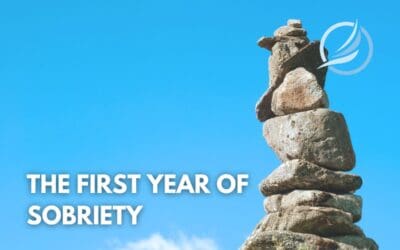 The First Year of Sobriety