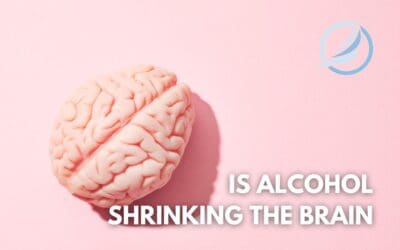 Is One Drink Per Day Shrinking the Brain? Unpacking the Science