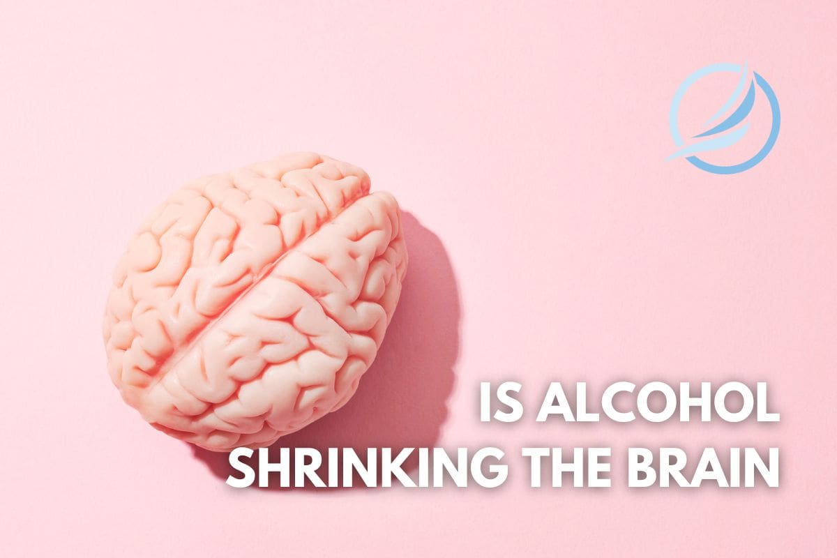 one drink per day shrinking the brain